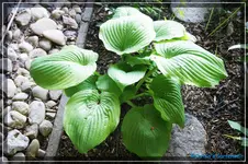 comp_DSC03613.webp