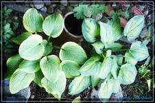 comp_DSC03614.webp