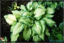 comp_DSC03615.webp