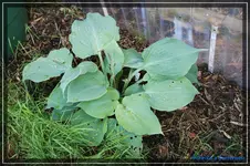 comp_DSC03616.webp