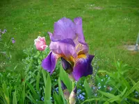 DSCI3376.webp