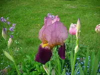 DSCI3377.webp