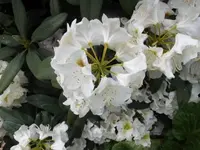 Bilda008.webp