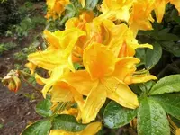 Bilda047.webp