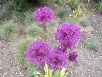 Bilda045.webp