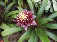 Bilda008.webp