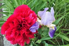 DSCF1116 (2).webp