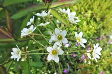 DSCF1122 (2).webp