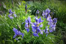 DSCF1133 (2).webp