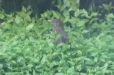 DSCF1097.webp