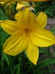 DSC04270.jpg