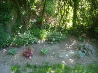 Schattenbeet.webp