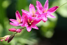 IMG_9153-1.webp