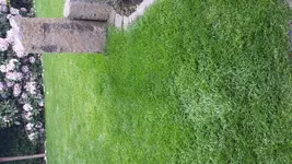 20150531_153027.webp