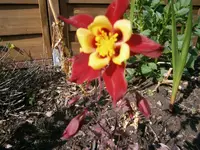 P5300201.webp