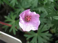002_1024x768.webp