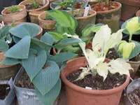 050_1024x768.webp