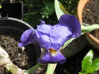 004_1024x768.webp