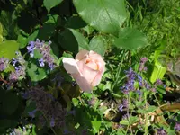 IMG_4143.webp