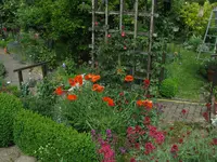 IMG_4155.webp