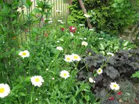 IMG_4147.webp