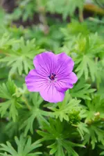 DSC_4534.webp