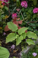 DSC_4535.webp