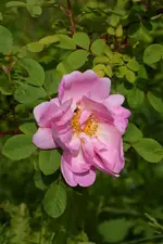 DSC_4544.webp