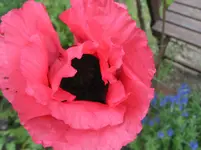 011.webp
