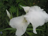 012.webp