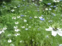 002.webp