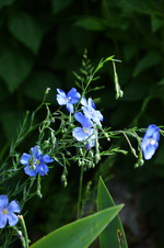 DSC_4540.webp