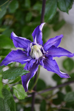 DSC_4549.webp