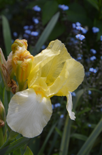DSC_4533.webp