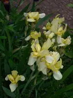 k-DSCI3386.webp