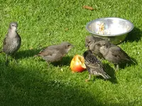DSCF9155.webp