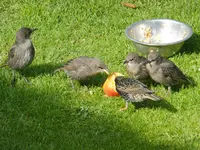 DSCF9157.webp