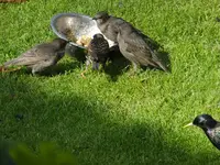 DSCF9166.webp