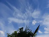DSCF9273.jpg