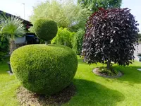 DSCF9191.webp