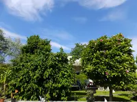 DSCF9231.webp