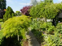 DSCF9268.webp