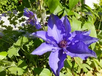 DSCF9246.webp