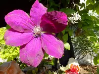 DSCF9249.webp