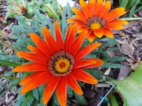 DSCF9254.webp
