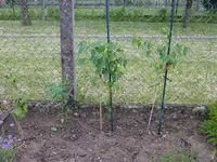 P1010528.webp