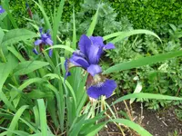 IMG_4148.webp