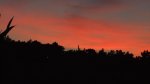 DSCF3604.jpg
