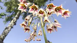 DSCF1983.webp
