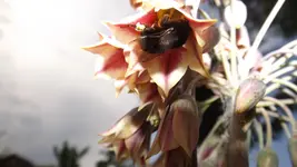 DSCF1992.webp